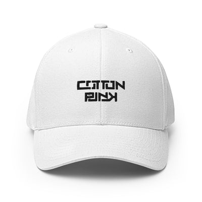 COTTONPUNK FLEXI CAP - R3VERSE